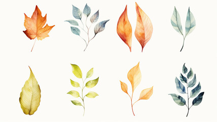 Fototapeta na wymiar set of watercolor autumn leaves isolated on white background
