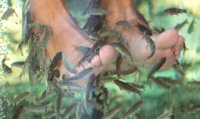 A girl on her feet is peeling fish in an aquarium