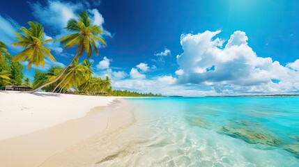 Fototapeta na wymiar Beautiful tropical beach with white sand and palm trees