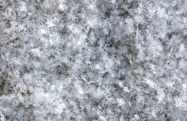 White snowflakes in winter as an abstract background. Texture
