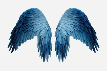 A pair of blue wings on a white background. Versatile image that can be used for various concepts and designs