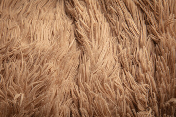Beige shag carpet as an abstract background. Texture