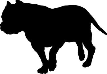 American pit bull is walk High quality Dog silhouette Breeds Bundle Dogs on the move in different poses.
The dog jumps, the dog runs. The dog is sitting. The dog is lying down. The dog is playing