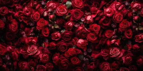 Selbstklebende Fototapeten Red rose background © krishnendu