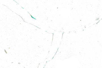 crack broken glass texture