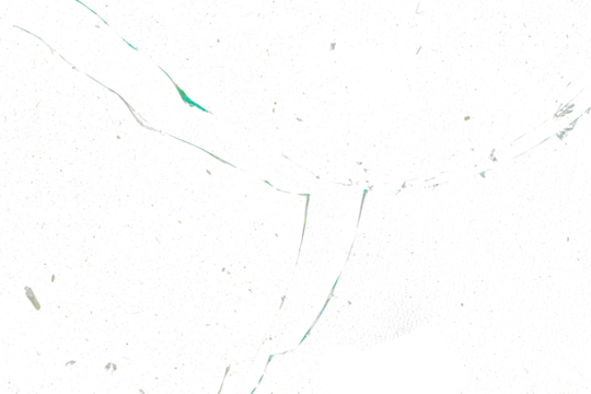 crack broken glass texture