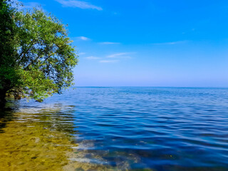 Wild coast of Baltic Sea. Puck Bay.