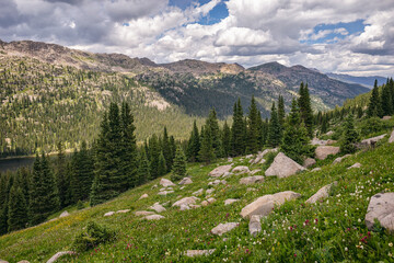 Fototapeta na wymiar Classic landscape in the Holy Cross Wilderness, Colorado