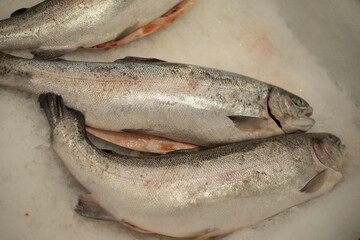 Frozen fish. Fish department of the store. Seafood at the market.