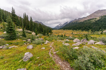 Hiking trail in the Holy Cross Wilderness, Colorado