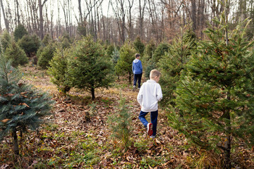 Fototapeta na wymiar Two young boys searching for the perfect Christmas Tree