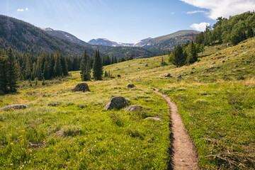 Hiking trail in the Indian Peaks Wilderness, Colorado