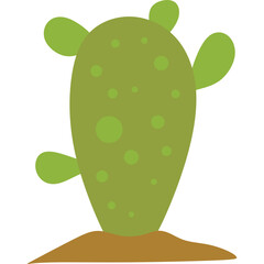 Flat Cactus Plant