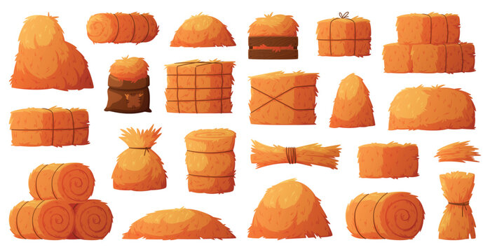 Hay Bale as Dried Grass for Fodder Vector Set
