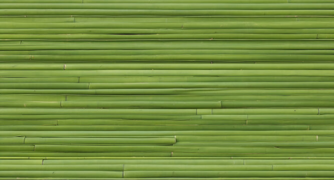 Green horizontal bamboo texture pattern background