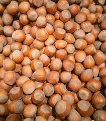 Haselnüsse zum Verkauf in einen Supermarkt