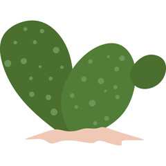 Flat Cactus Plant