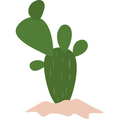 Flat Cactus Plant