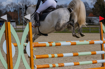Pferd springt über ein Hindernis beim Springreiten