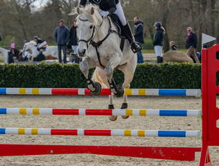 Pferd springt über ein Hindernis beim Springreiten