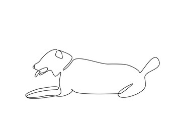 cute dog outside free pose life freedom walk line art design