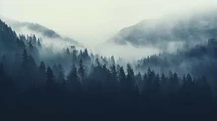 Foto op Plexiglas landscape, quiet misty valley in the mountains, forest panorama aero view © kichigin19