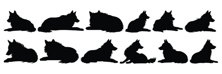 Wolf silhouettes set, large pack of vector silhouette design, isolated white background