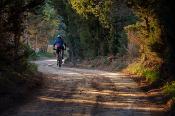 Obraz premium mountain biker on the greenway Sant Francesc-La Mola, Formentera, Pitiusas Islands, Balearic Community, Spain