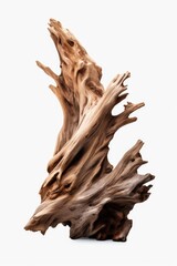 A piece of drift wood isolated on a white background. Perfect for adding a natural touch to any design