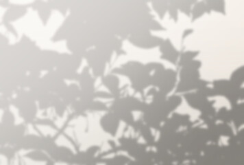 背景イラスト_木漏れ日