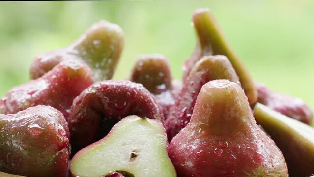 red java water apple tropical fruit, syzygium aqueum, southeast asia