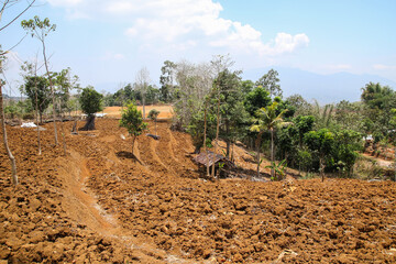 barren land, plantation areas with dry soil without planting crops