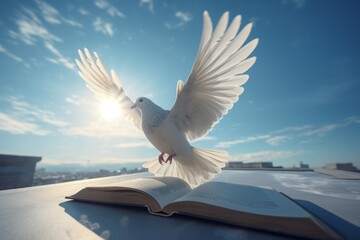 Dove and open bible on blue sky view. Hope and spiritual holy symbol. Generate ai