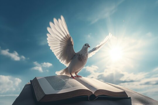 Dove on open bible book with blue sunny sky view. Peaceful flight on sacred divine religious book. Generate ai