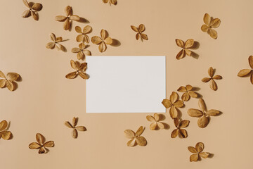 Paper sheet card with blank mockup copy space and dried star flower buds on beige background
