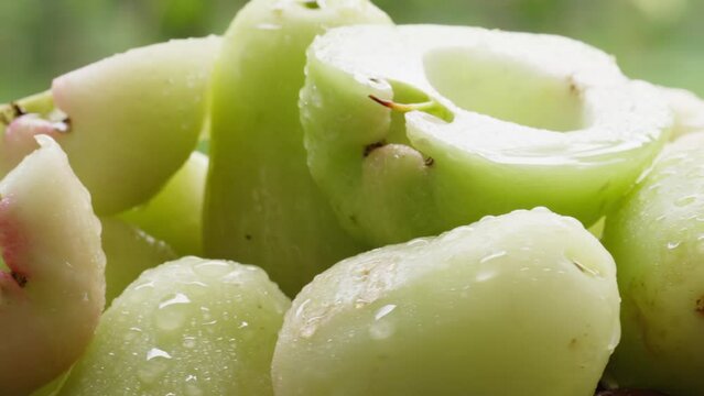 white jamun or wax jambu is a water apple tropical fruit