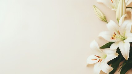 Background of many snow-white lilies. Spring Easter floral design. Copy space