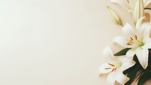 Background of many snow-white lilies. Spring Easter floral design. Copy space