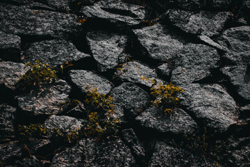 Rock