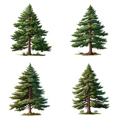 collection of 3D shapes of pine trees Artificial Intelligence Generative