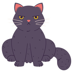 A disgruntled cat sits. Grumpy Fluffy cat black color