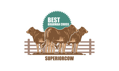 YOUNG CATTLE BRAHMAN CROSS BREEDING LOGO, silhouette of healthy and happy cow vector illustrations