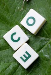 The word "eco" arranged with letter blocks on a green leaf background.