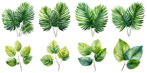 exotic plant leaves Artificial Intelligence Generative
