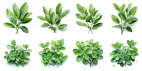 exotic plant leaves Artificial Intelligence Generative