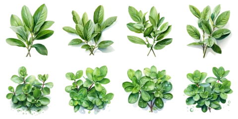 Zelfklevend Fotobehang exotic plant leaves Artificial Intelligence Generative © ainun