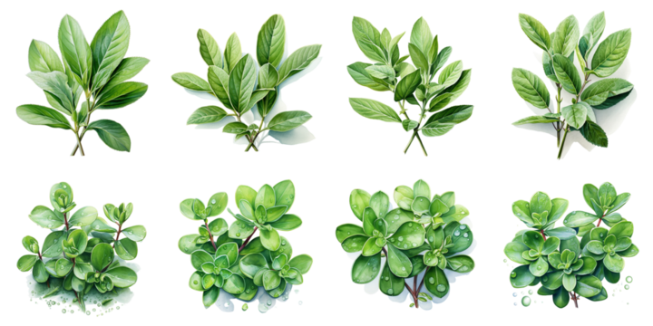 exotic plant leaves Artificial Intelligence Generative