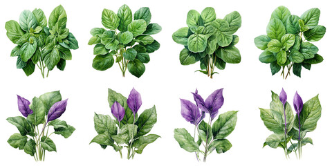 spinach and eggplant leaves Artificial Intelligence Generative