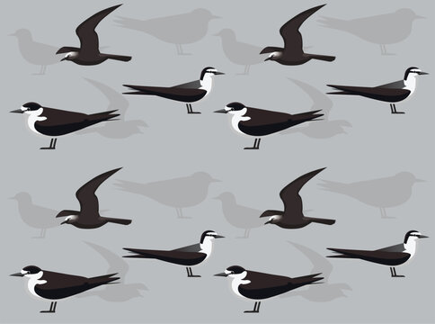 Bird Sooty Tern Noddy Cartoon Cute Seamless Wallpaper Background