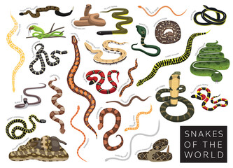 Snakes of the World Set Cartoon Vector Character - obrazy, fototapety, plakaty